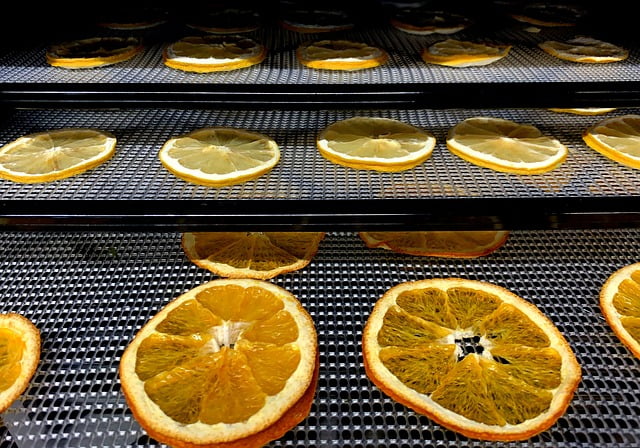 How to Properly Clean and Maintain Your Food Dehydrator